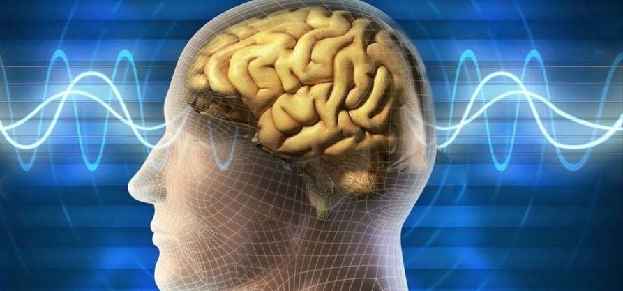 Le cerveau humain